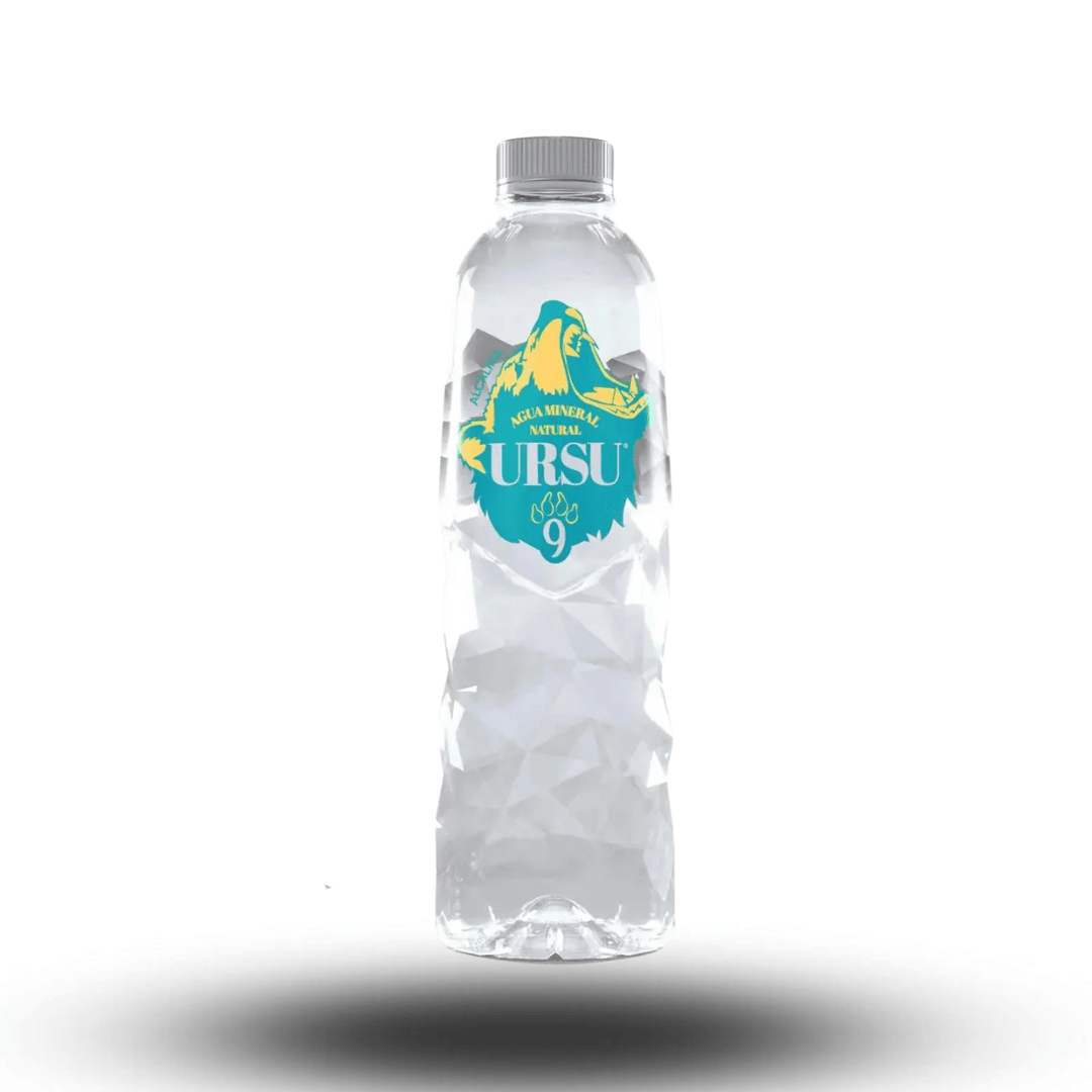 Ursu9 Ursu 9 - Alkalisches Mineralwasser 500ml